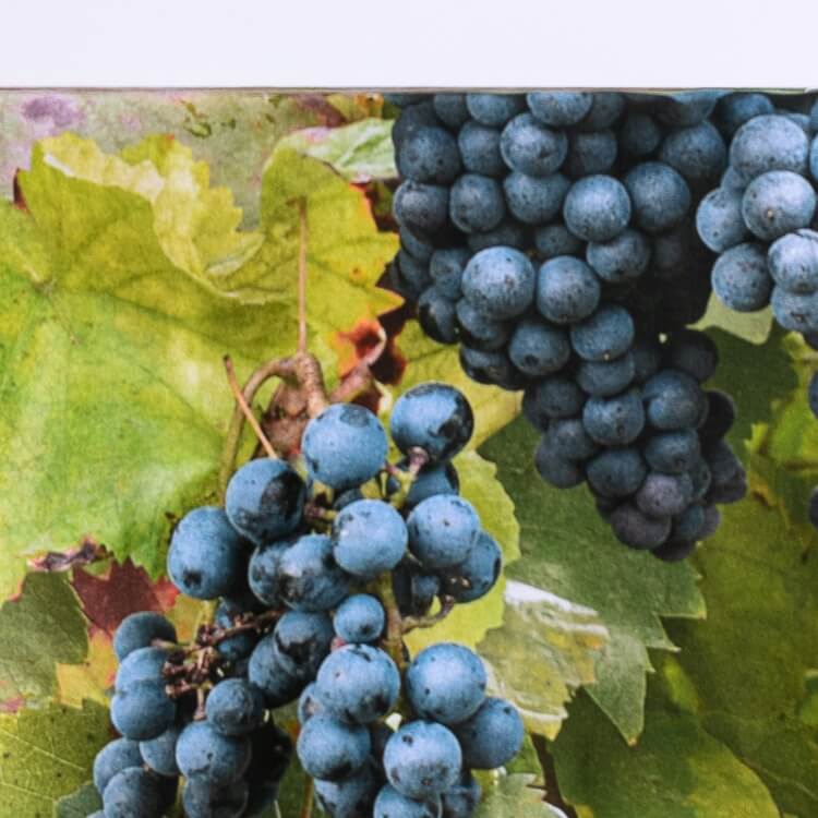 Foonka Vineyard Tischdecke Weintrauben