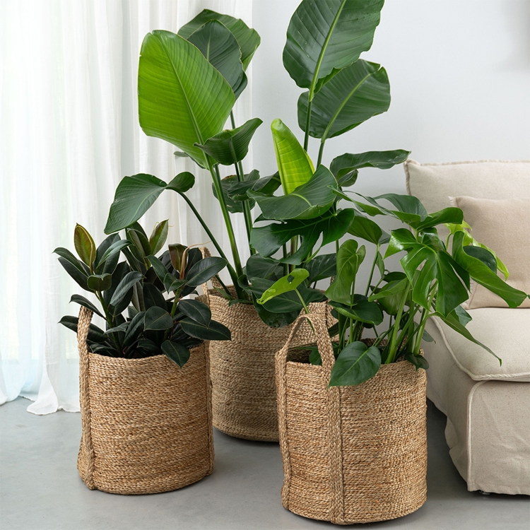 MOYHA Aufbewahrungskorb klein Natural, rund, 36 cm x 36 cm