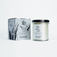 hagi cosmetics Duftkerze Hot Summer aus Sojawachs