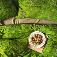 Foonka grüne Bettwäsche Moos Hayka