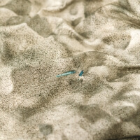 Sandstrand Bettwäsche Hayka von Foonka