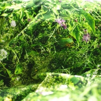 Alpenwiese Bettwäsche Hayka die Almwiese von Foonka