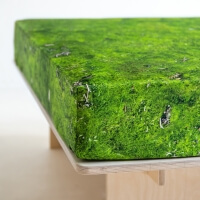 Foonka Moos Spannbettlaken Hayka