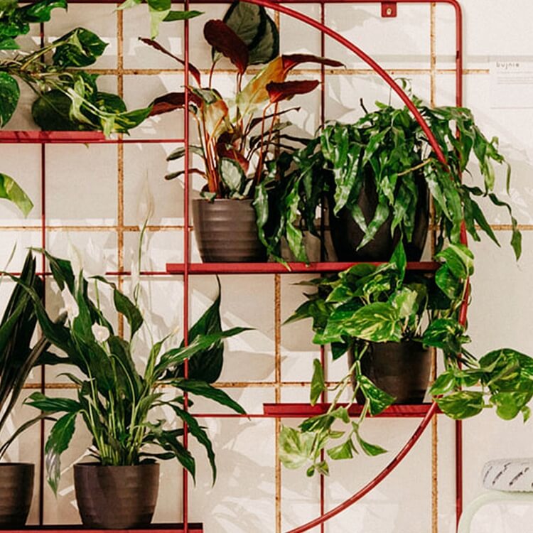 Bujnie M:OD Square Pflanzen Wandregal Metall rot