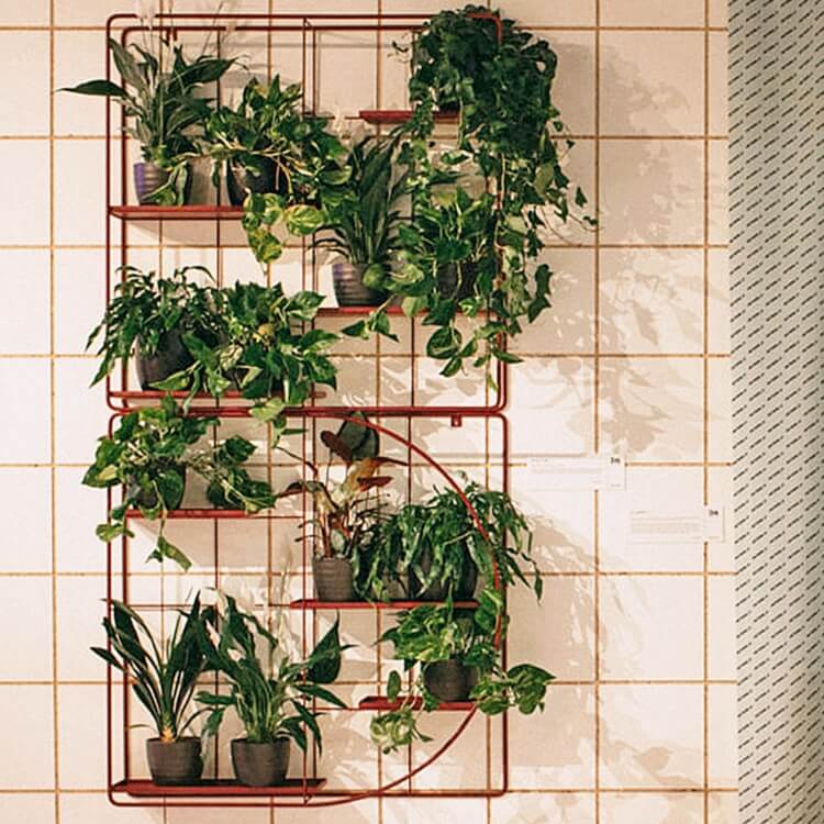 Modulare Wand-Blumenhalter Bujnie M:OD Square