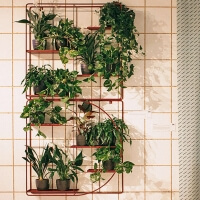 Modulare Wand-Blumenhalter Bujnie M:OD Square