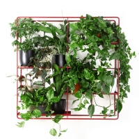 Bujnie M:OD Square Wand-Blumenhalter Metall rot