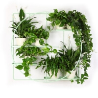 Bujnie M:OD Round Wand-Blumenhalter Metall mintgrün