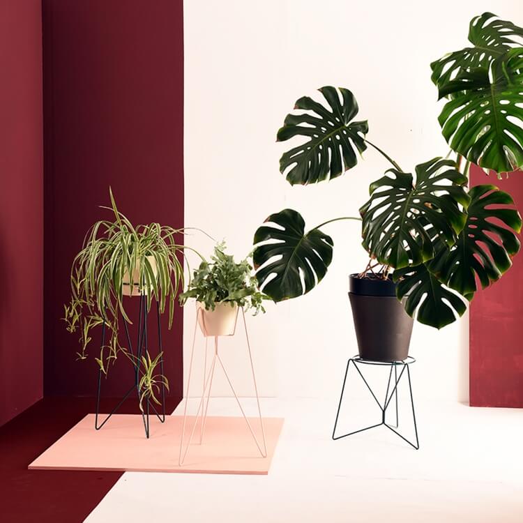 Flo Bodenständer Bujnie Blum Kollektion Metallstreben