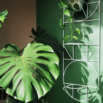 Bujnie Orio Blumentopf Wandhalter schwarz Metall 2