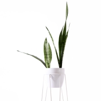 Blumenständer 18-20 cm Pflanzentöpfe Metall weiß Bujnie Neo