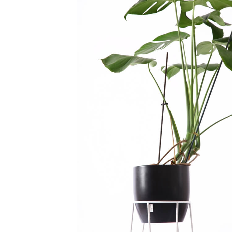 Metall Pflanzenständer 70 cm weiß Bujnie Neo