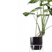 Metall Pflanzenständer 70 cm weiß Bujnie Neo