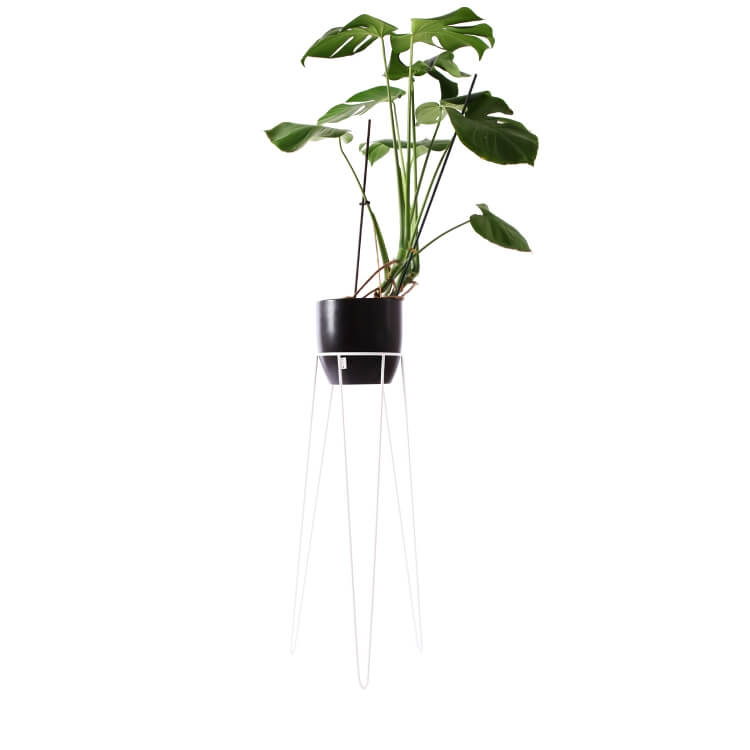 hoher Metall Blumenständer Bujnie Neo Mellow