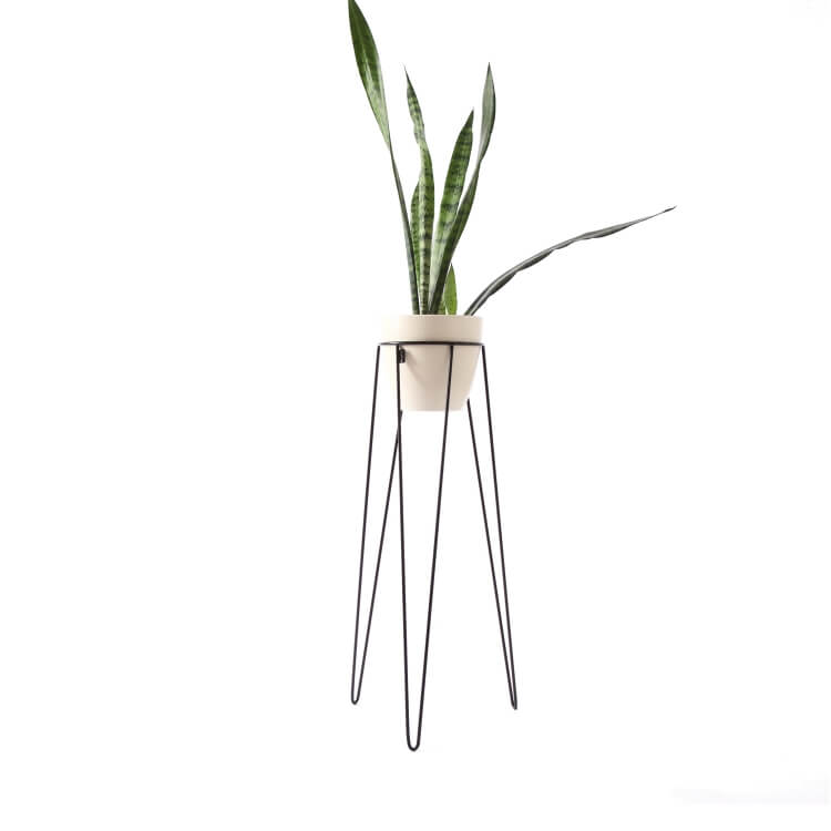 Greenery Bogenhanf Blumenständer Bujnie Neo