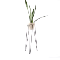 Greenery Bogenhanf Blumenständer Bujnie Neo